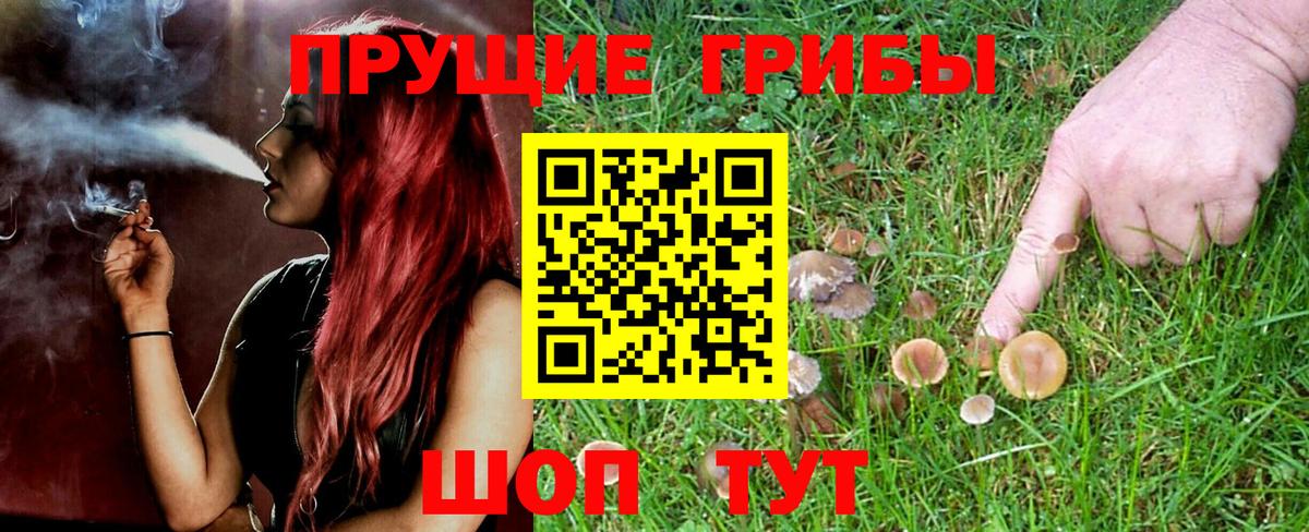 Галлюциногенные грибы Magic Shrooms Всеволожск